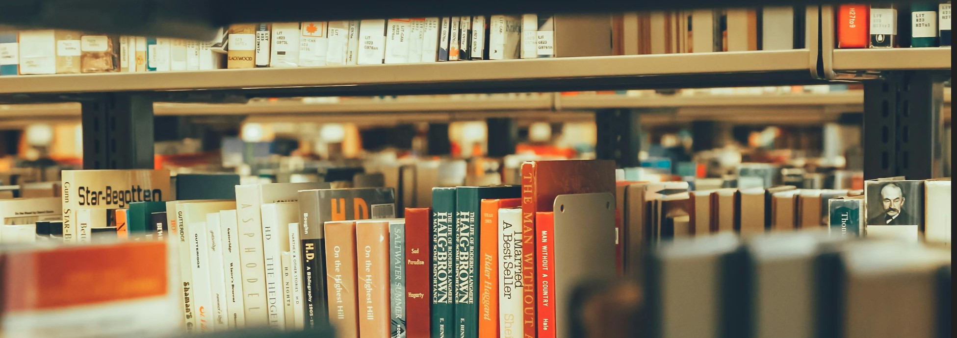 Biblioteconomia